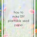 Eco-Friendly Plantable Paper - DIY Seed Paper