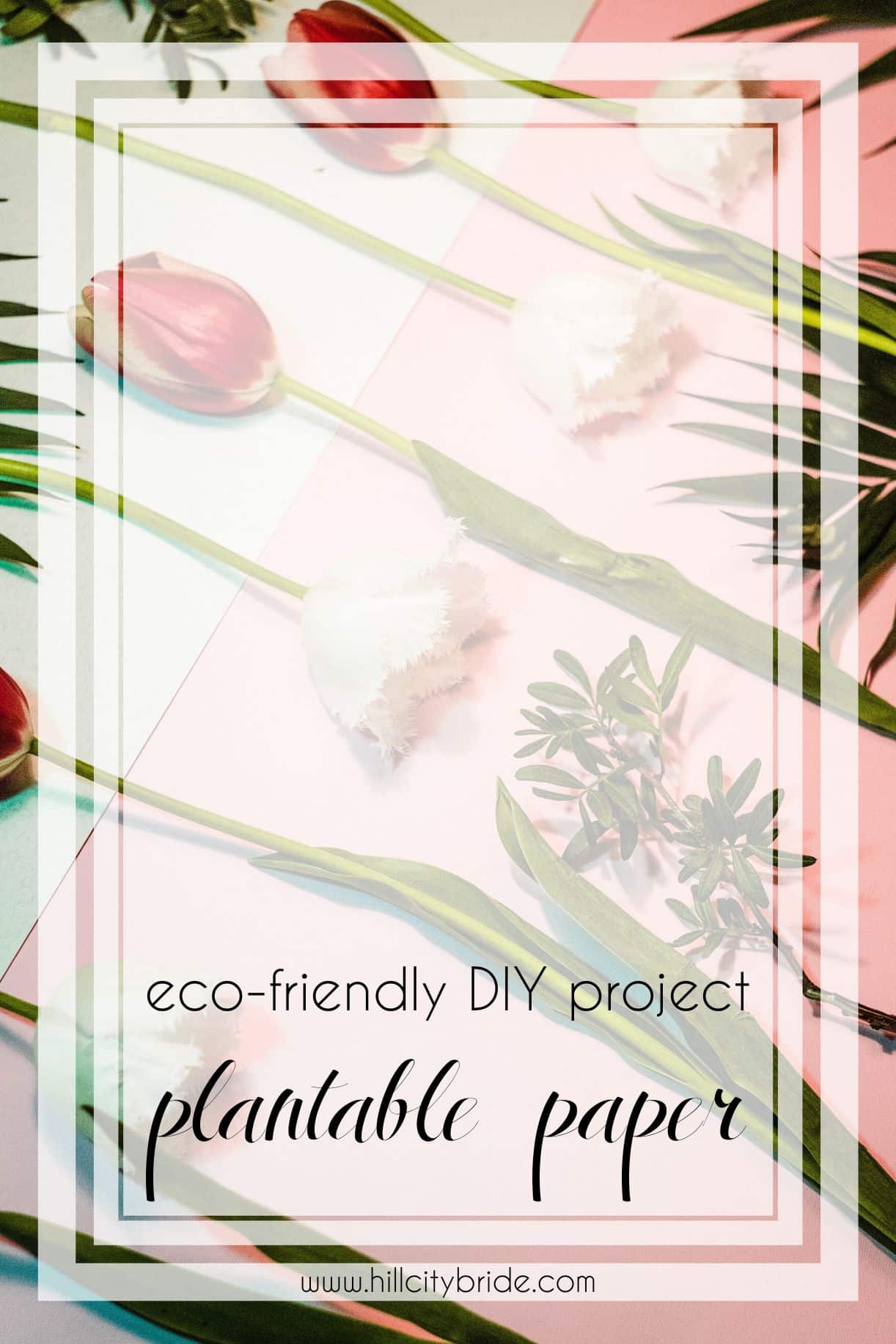 Eco-Friendly Plantable Paper - DIY Seed Paper | Hill City Bride Virginia Weddings
