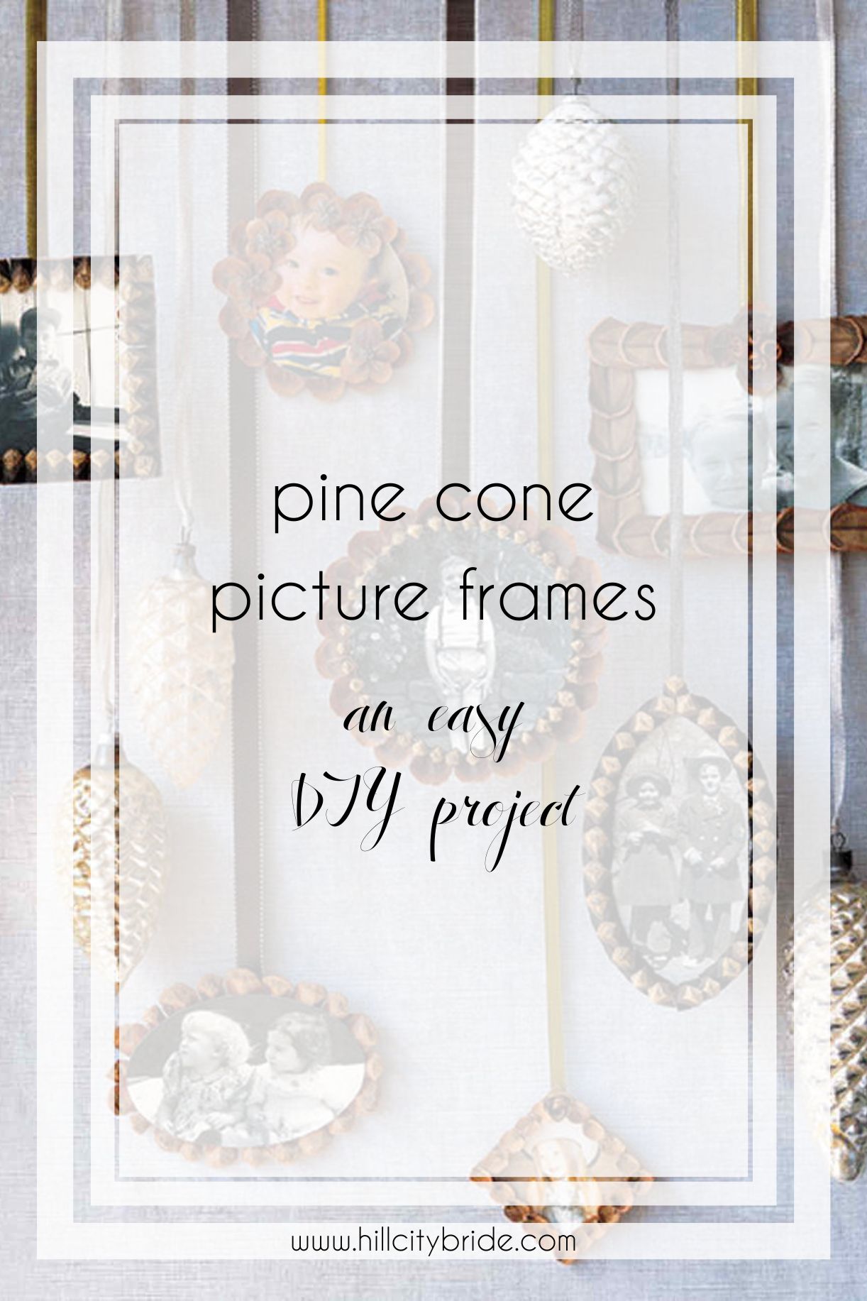 Pinecone Picture Frames DIY
