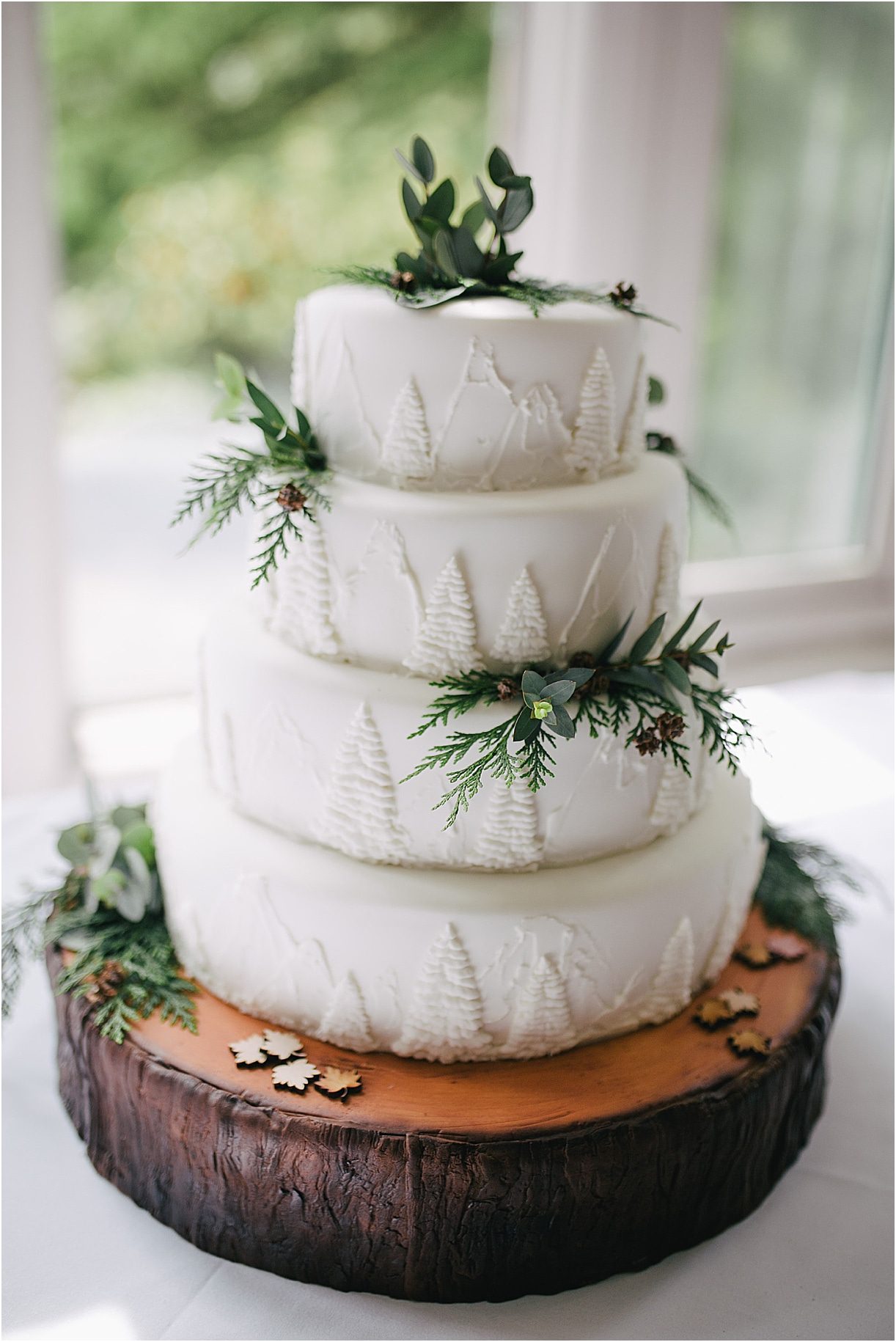 Beautiful Wedding Videos | Hill City Bride Virginia Weddings Blog Mountain Winter Cake