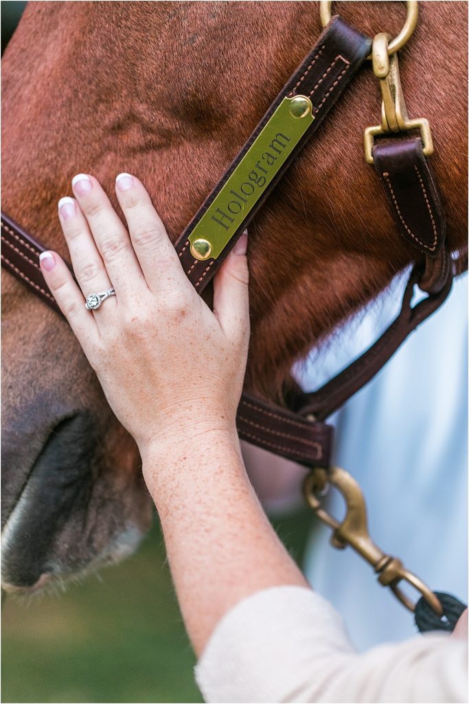 Horse Equestrian Engagement as seen on Hill City Bride Wedding Blog_0019
