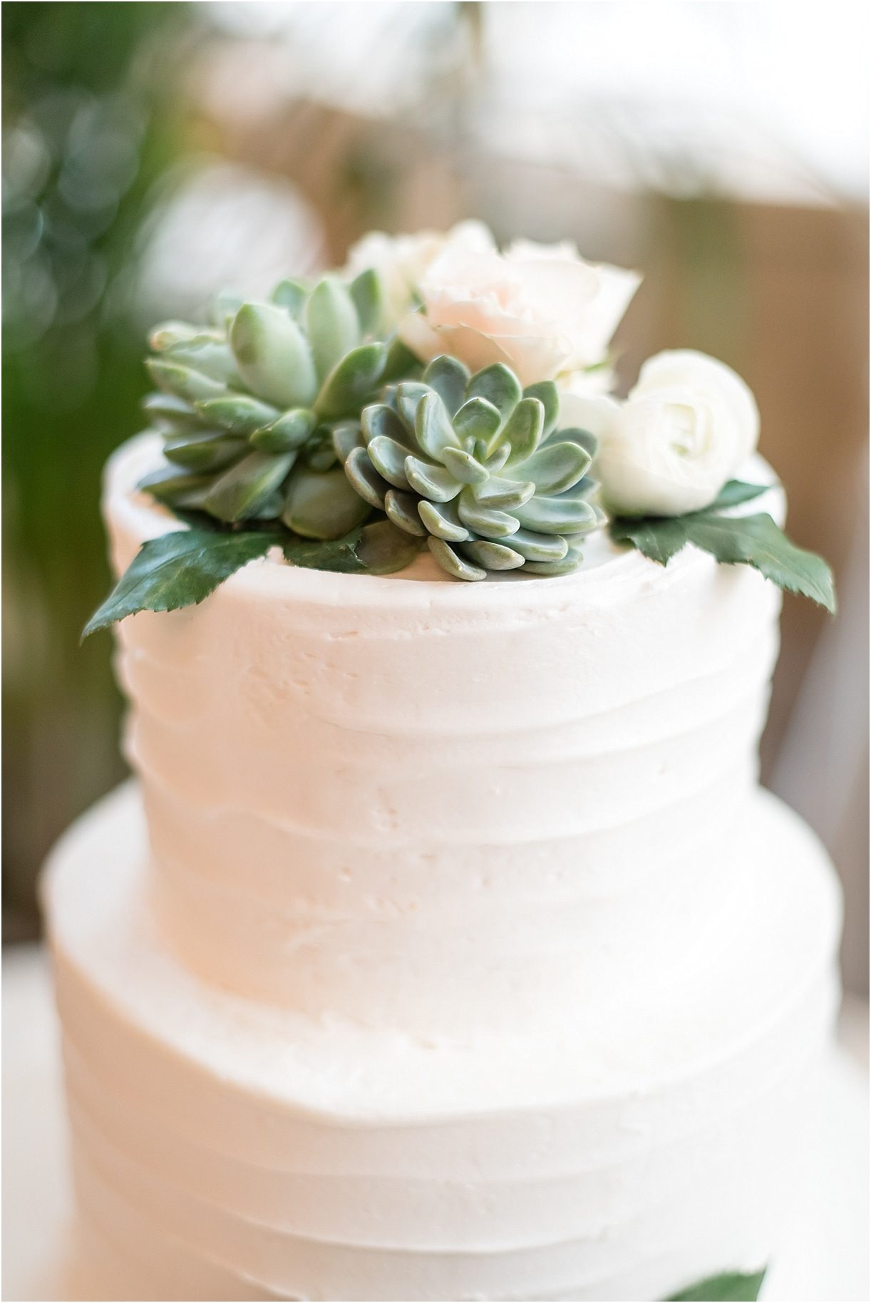 Sophisticated Richmond Wedding in Virginia as seen on Hill City Bride by Melissa Desjardins Photography Succulent Cake