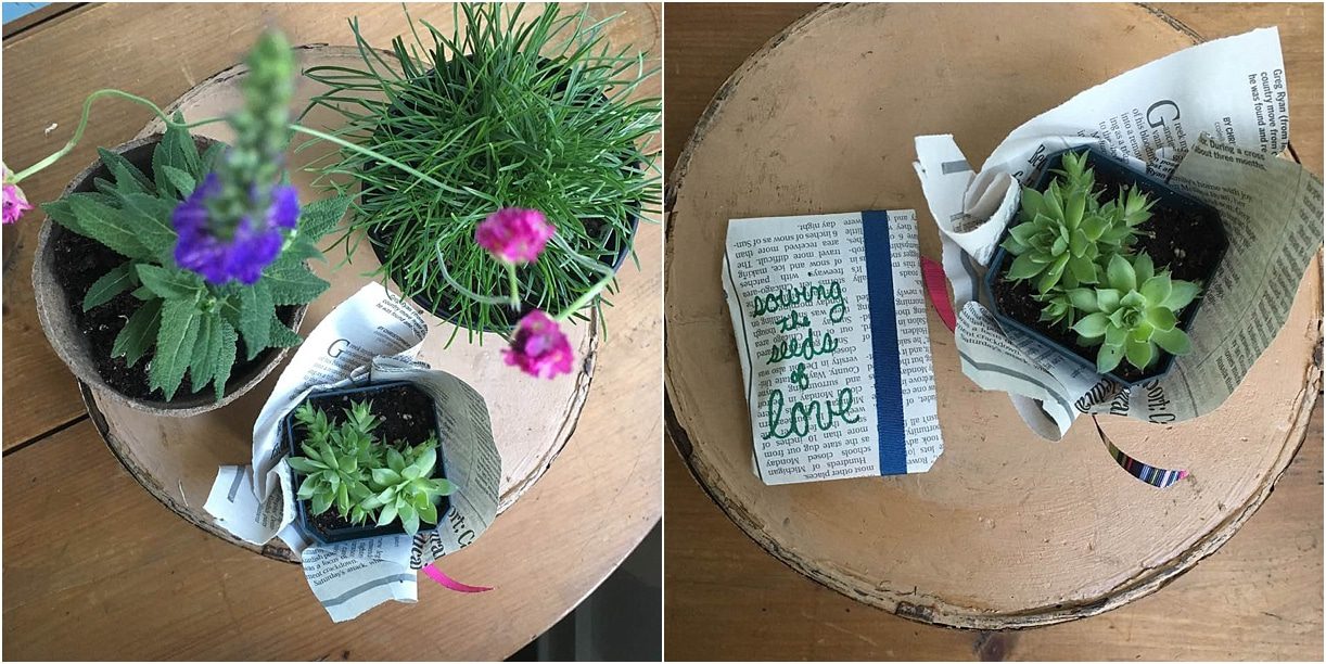 Eco-Friendly Plantable Wedding Favors Inspiration as seen on Hill City Bride