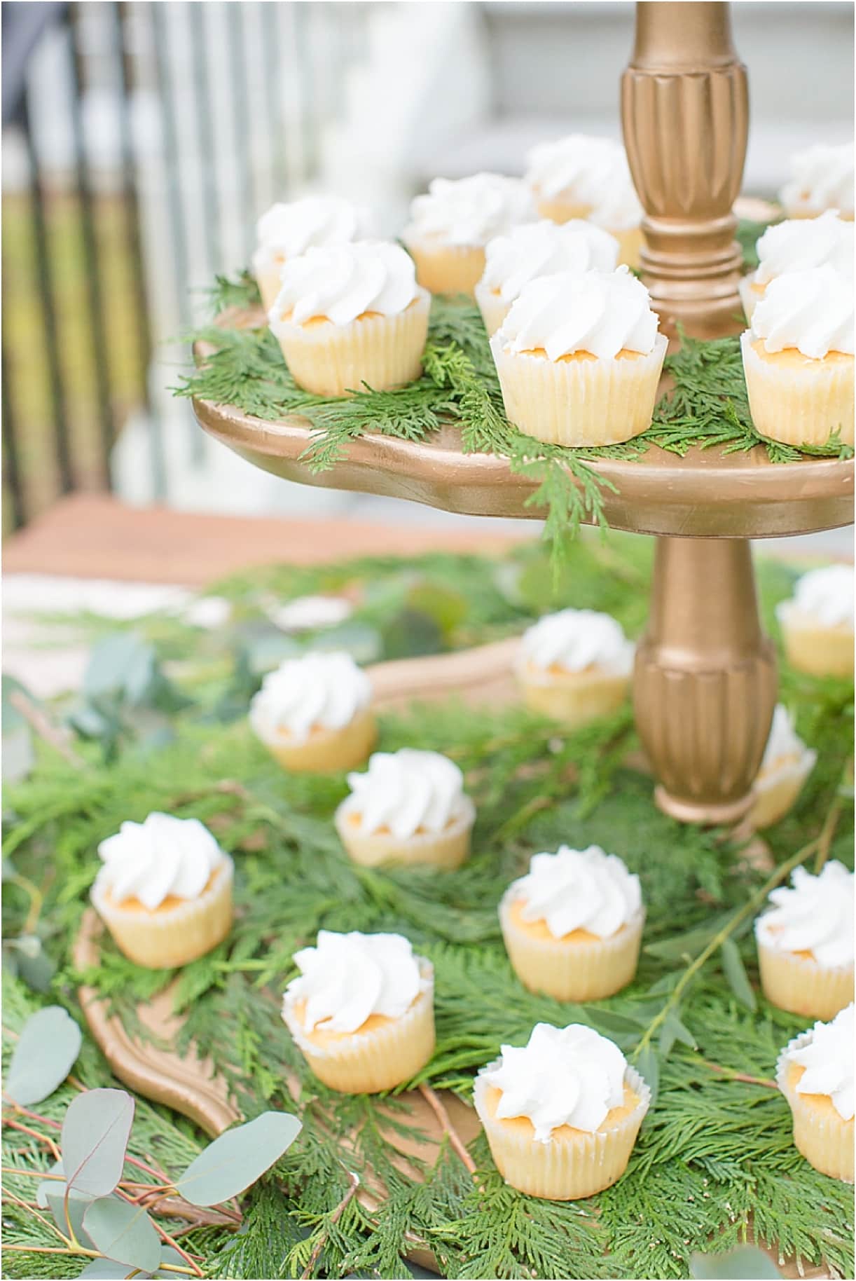 Virginia Lovely Plantation Shoot as seen on Hill City Bride Wedding Blog by Shelby Dickinson Photography Cupcakes Dessert