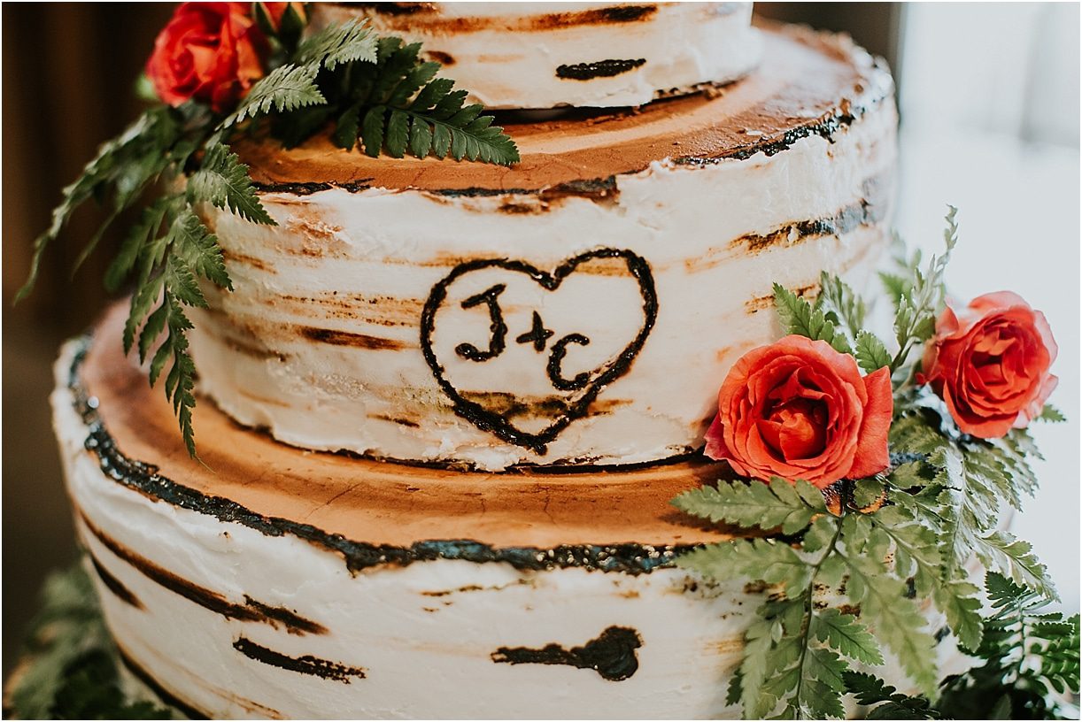 Lovely Virginia Vineyard Wedding as seen on Hill City Bride Blog by Vness Photography - cake, tree, rustic