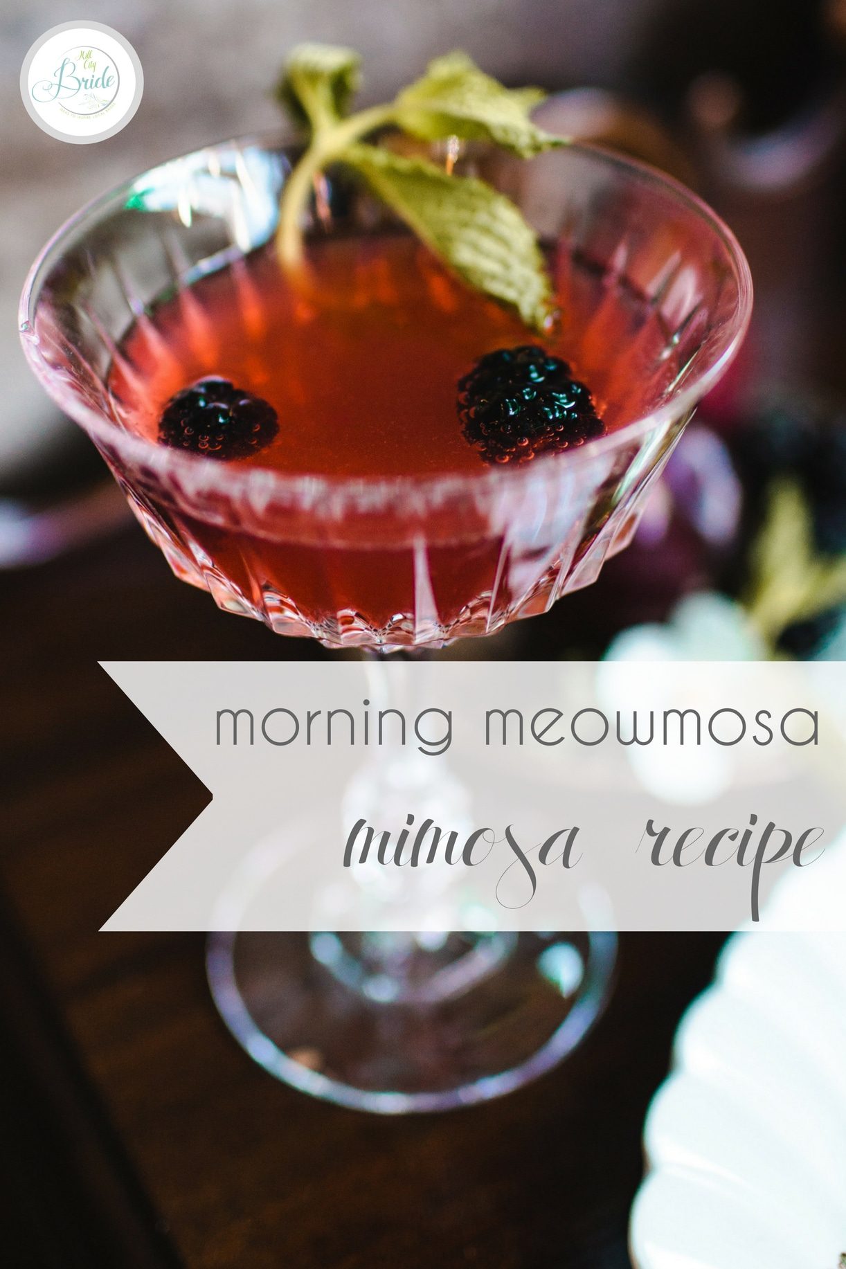 Morning Mimosa Recipe Cocktail Meowmosa as seen on Hill City Bride Virginia Wedding Blog Specialty Drink