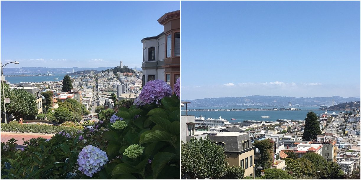 Hotel Griffon and San Francisco Walking Tour as seen on Hill City Bride Virginia Wedding Blog and Destination Travel View from Lombard Street