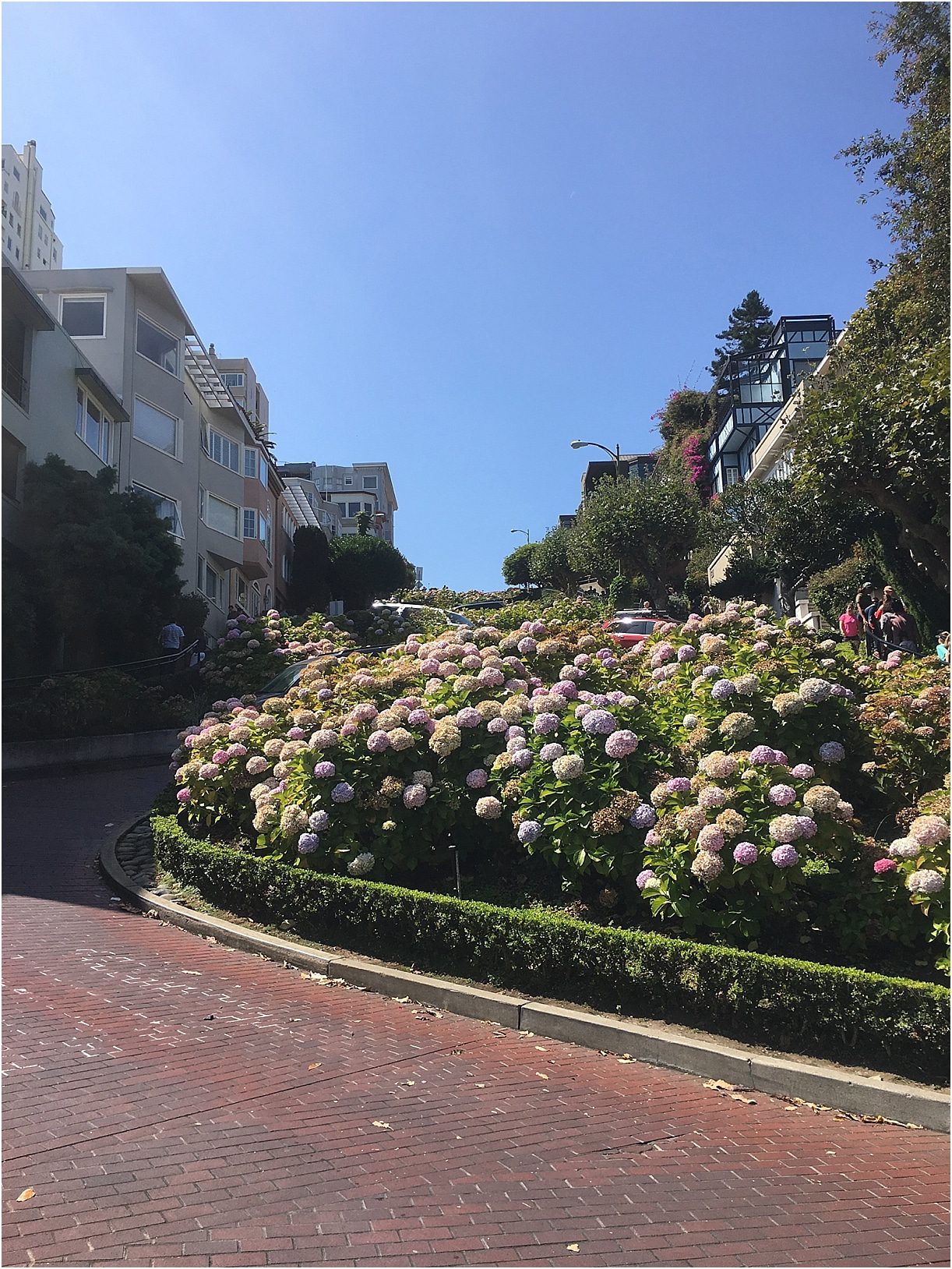 Hotel Griffon and San Francisco Walking Tour as seen on Hill City Bride Virginia Wedding Blog and Destination Travel View Looking up Lombard Street