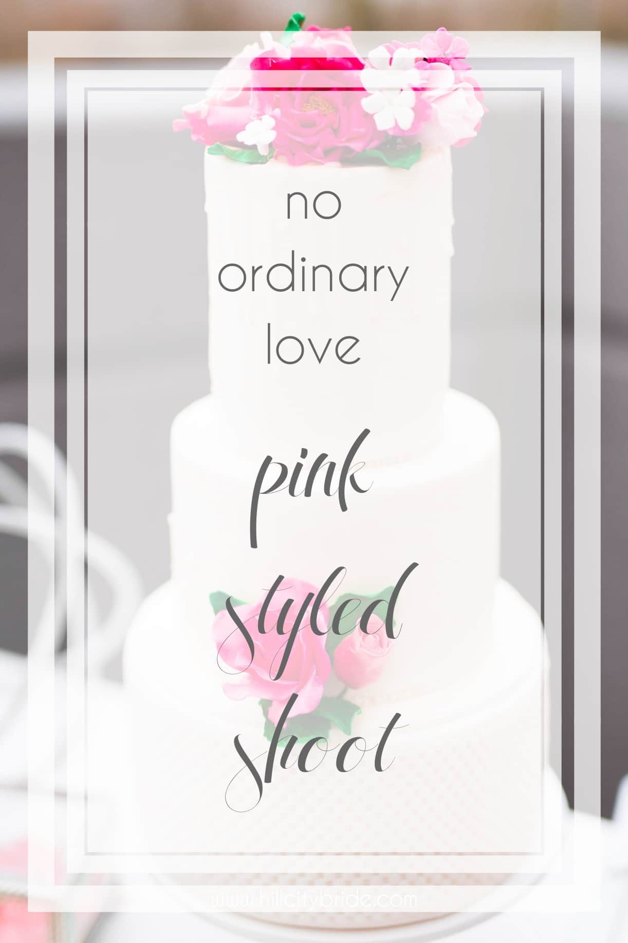 No Ordinary Love in Pink Styled Shoot | Hill City Bride Virginia Wedding Blog