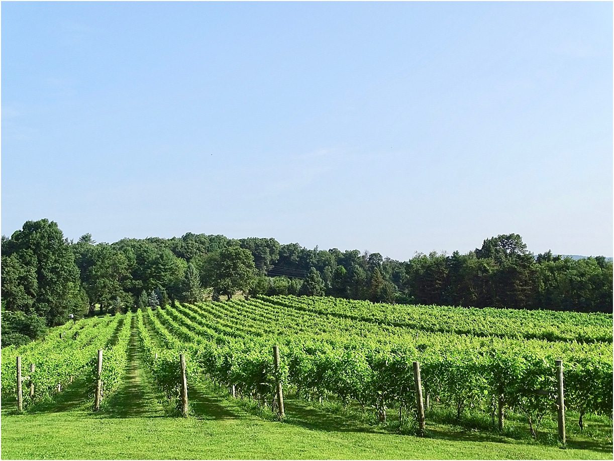 Hill City Bride | Getaway Weekend for Two | Travel for Couples Adams County Pour Tour Gettysburg Pennsylvania Halbrendt Winery and Vineyard
