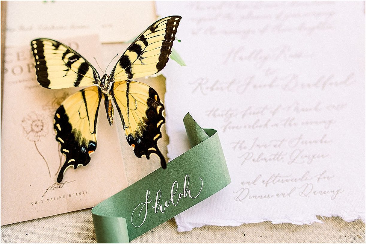 Autumnal Styled Shoot with Unique Spring Wedding Colors | Hill City Bride Virginia Wedding Blog Calligraphy Swallowtail Invitation
