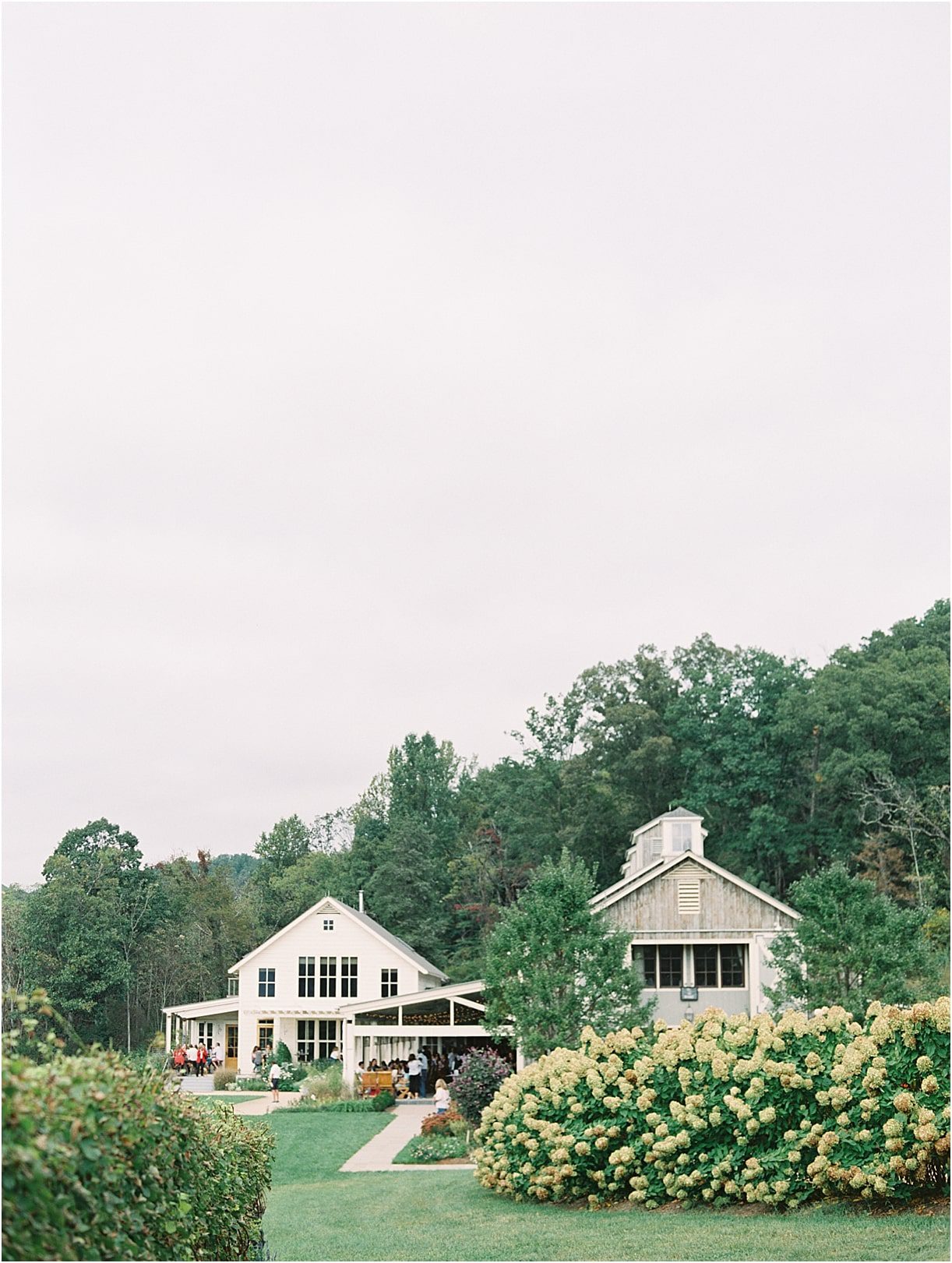 Gorgeous Pippin Hill Wedding in Charlottesville Virginia