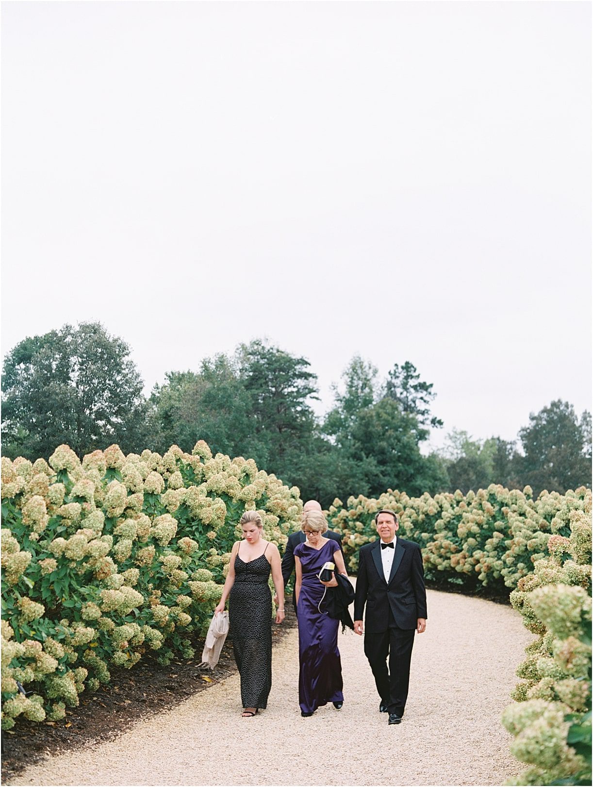 Gorgeous Pippin Hill Wedding in Charlottesville Virginia Guests