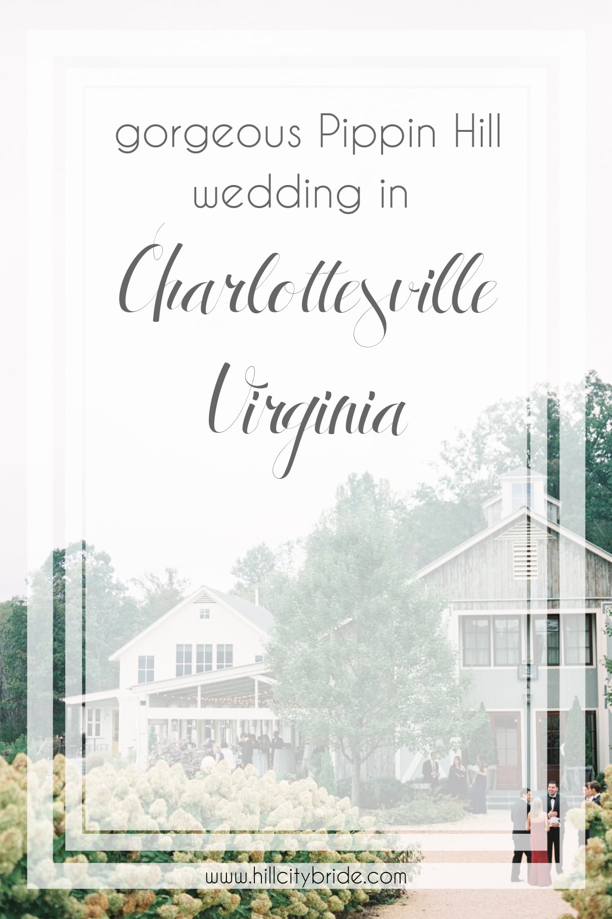 Gorgeous Pippin Hill Wedding in Charlottesville Virginia
