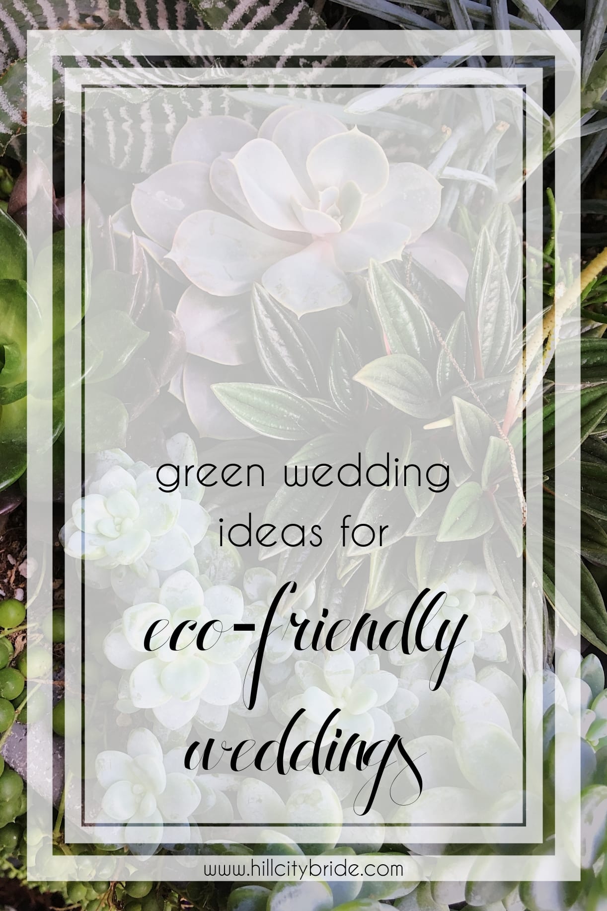 Green Wedding Ideas for Eco-Friendly Weddings | Hill City Bride Virginia Blog Conflict Free Diamonds Lab Grown