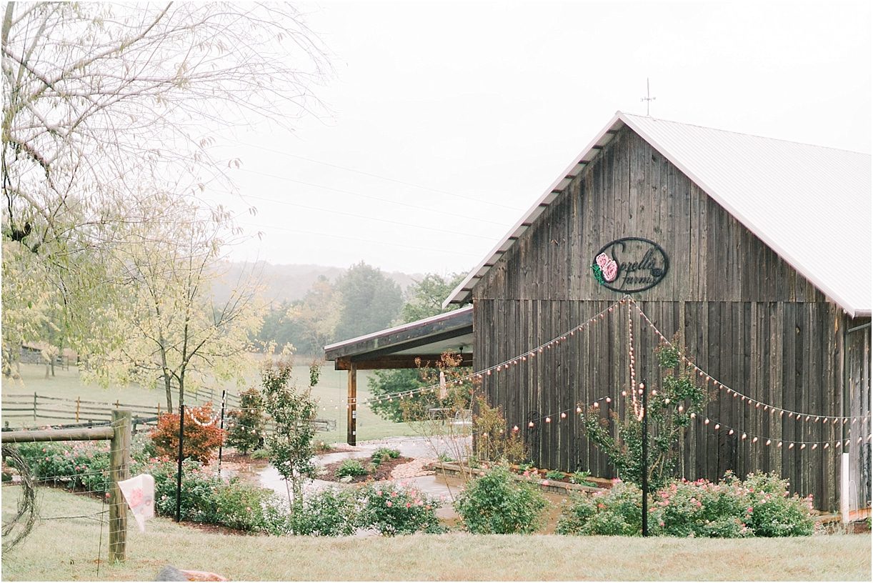 Dusty Blue Wedding Color Palette | Hill City Bride Virginia Weddings Wedding Blog | Something Blue Sorella Farms