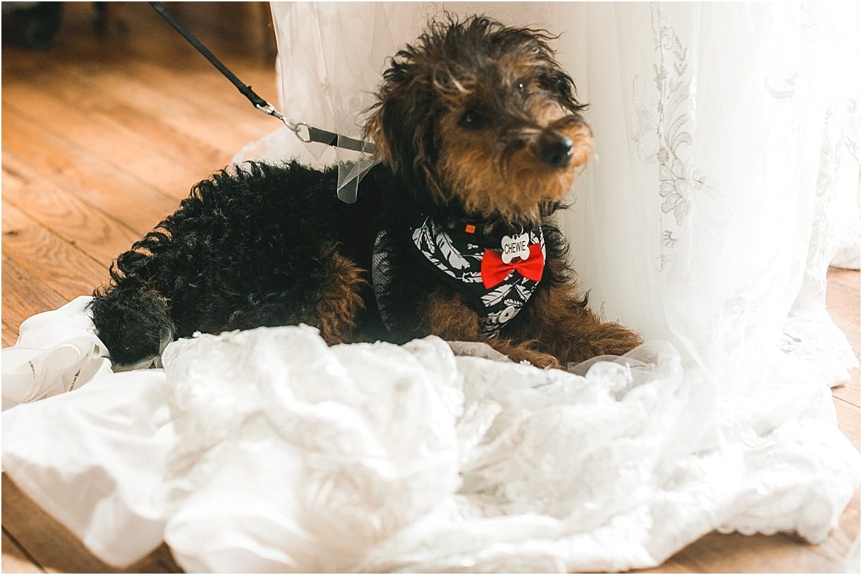Boho Wedding Ideas | Hill City Bride Virginia Weddings Blog | Bohemian Wedding Dog