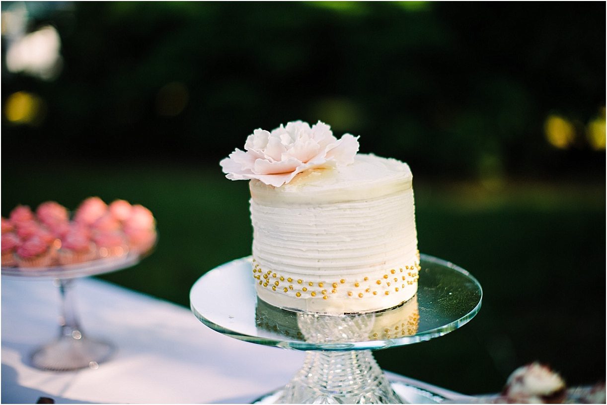 Cape Charles Wedding Venues | Blue Wedding | Hill City Bride Virginia Weddings Blog | Cake