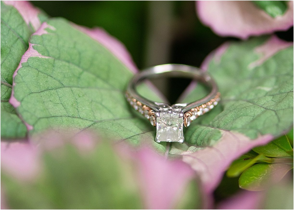 Engagement Photos DC Engagement Photographer | Hill City Bride Ring Shot
