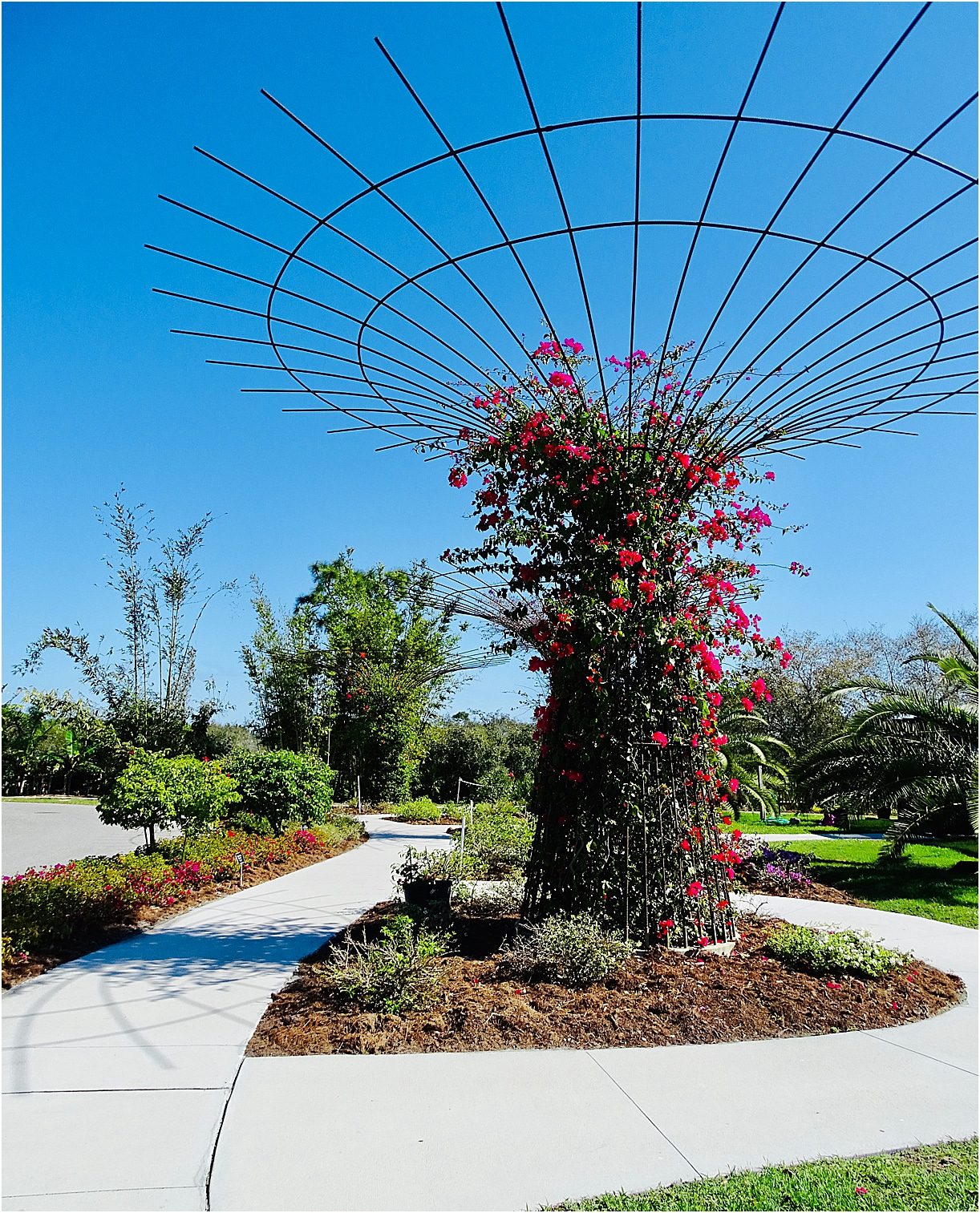 Peace River Botanical and Sculpture Gardens Punta Gorda Florida