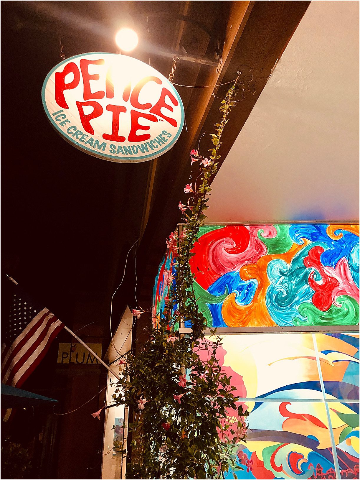 Peace Pie St. Augustine Florida Ice Cream Sandwiches