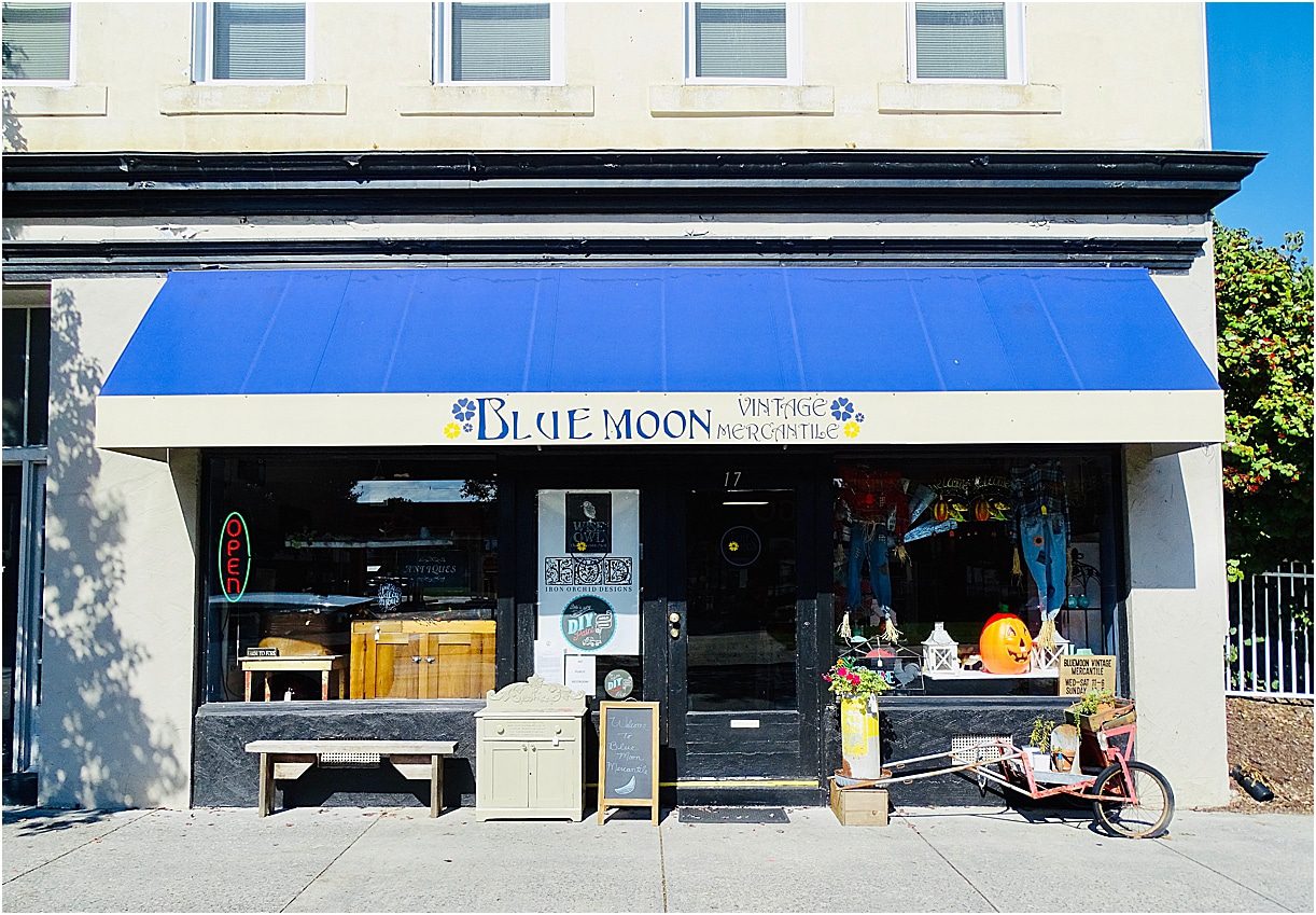 Blue Moon Vintage Mercantile Salem Virginia