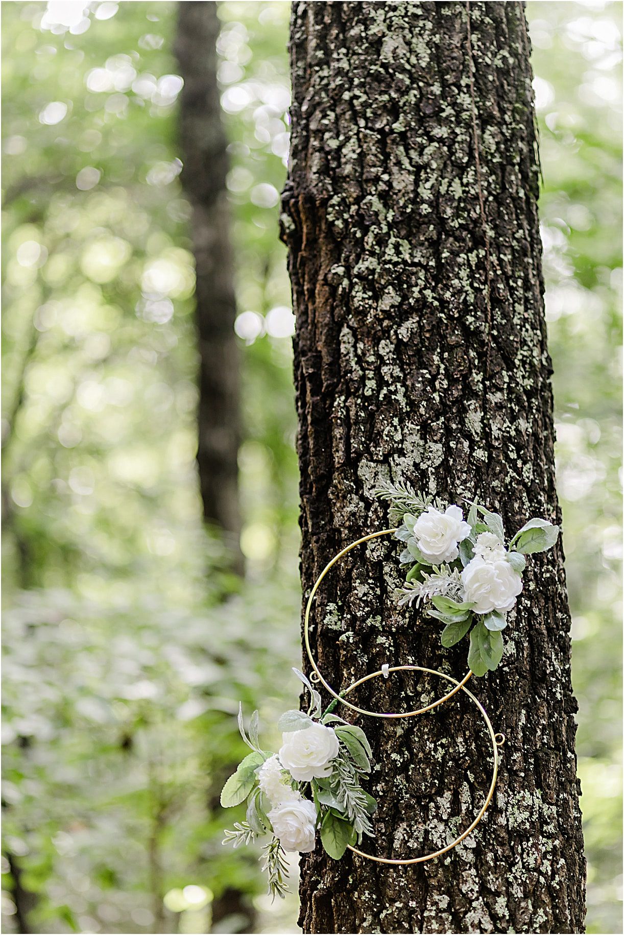 Wedding in the Woods of Virginia | Woods Wedding Venue Decor