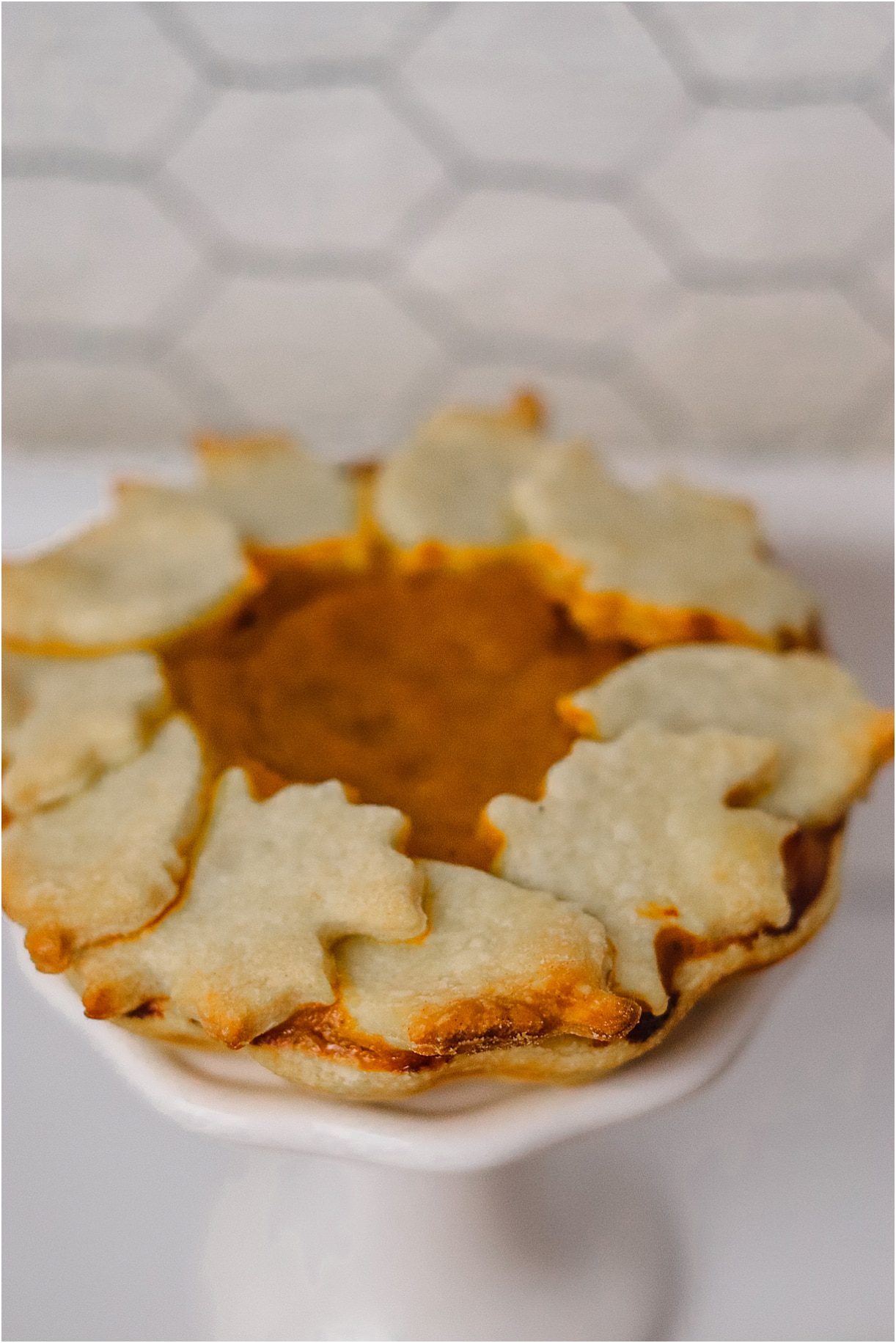 How to Make Mini Pumpkin Pies Recipe | Thanksgiving Christmas Fall Autumn Dessert