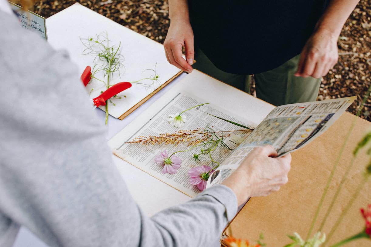 Dr Nancy Cowden Lynchburg College Pressed Flowers