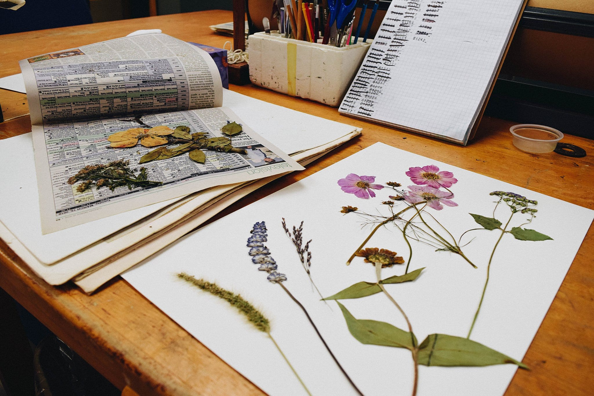 Framing Pressed Flowers Lynchburg Virginia Ramsey-Freer Herbarium