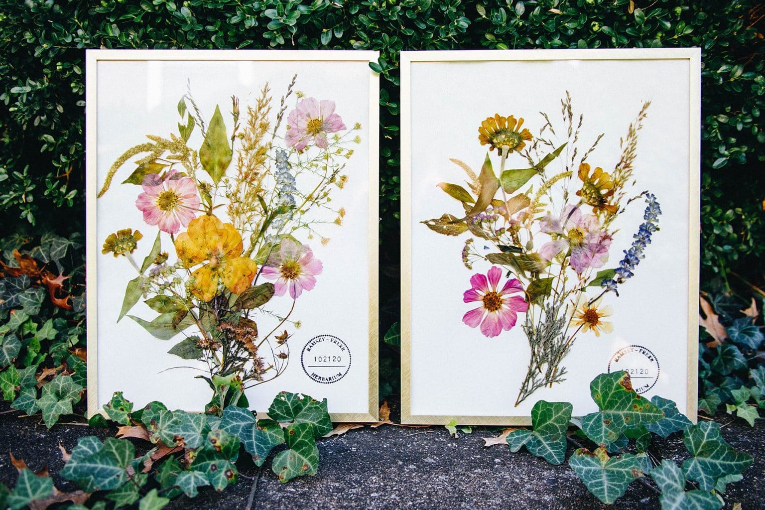 How to Press Flowers for Framing