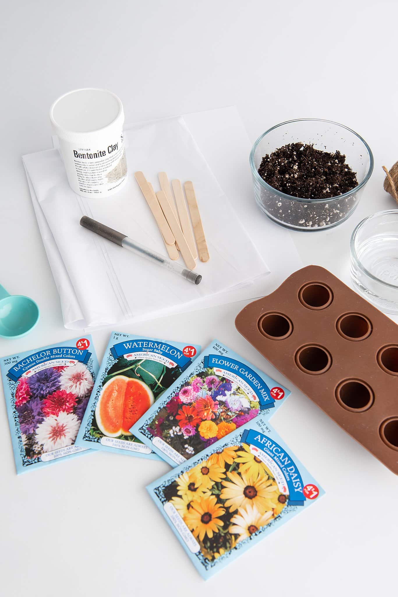 How to Plant DIY Seed Pops