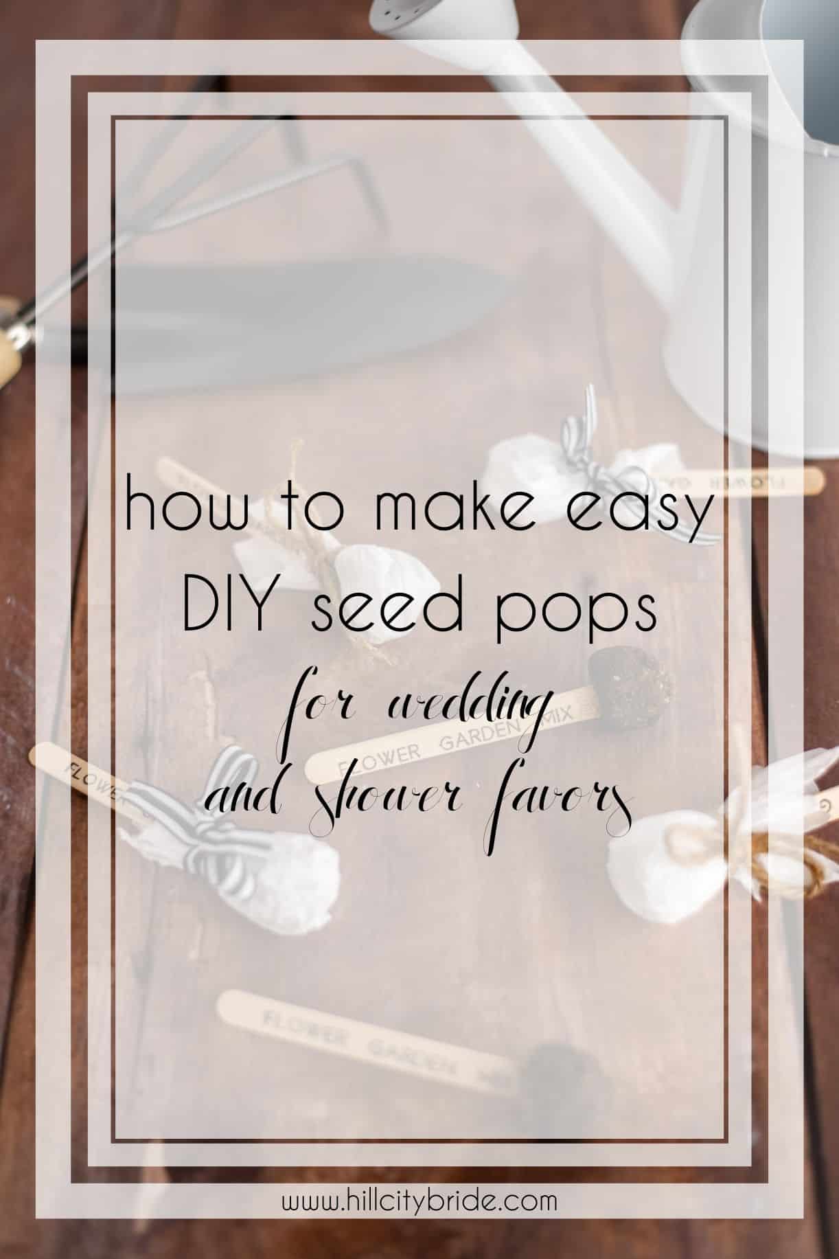 How to Make Simple DIY Seed Pops That Your Guests Will Love