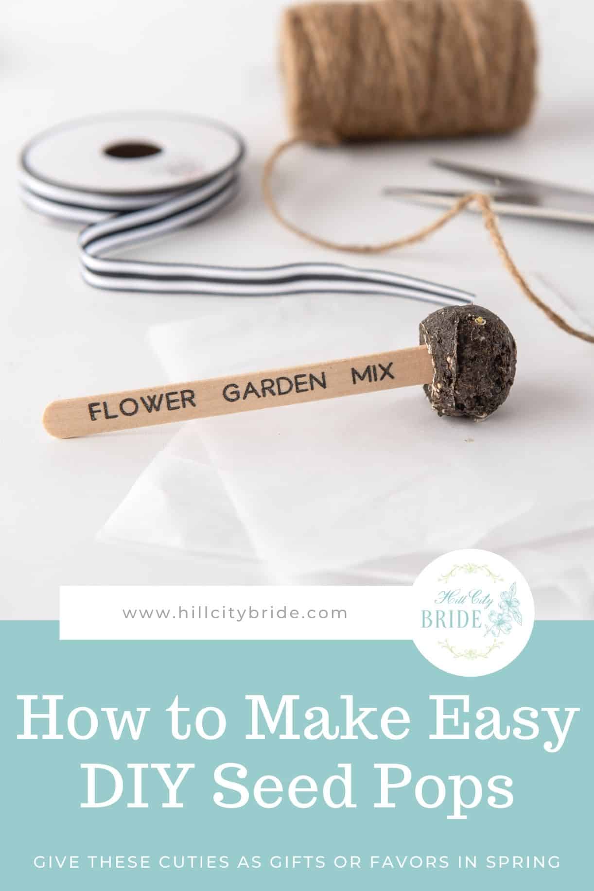 Make Seed Bombs at Home