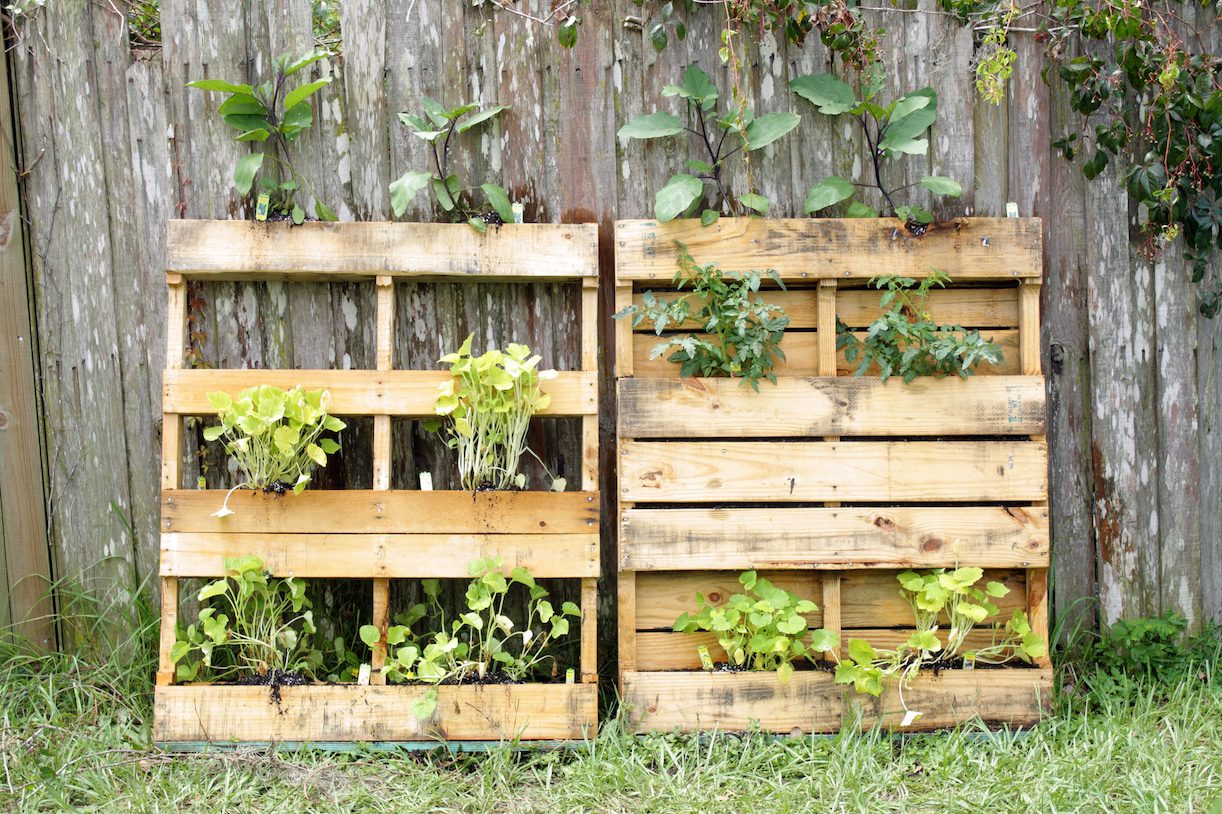 How to Use a Pallet for Gardening Vegetables