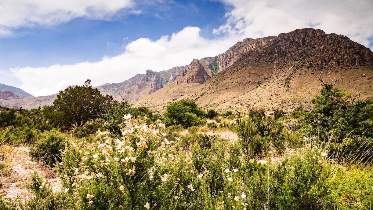 Guadalupe Mountains National Park Least Visited in USA