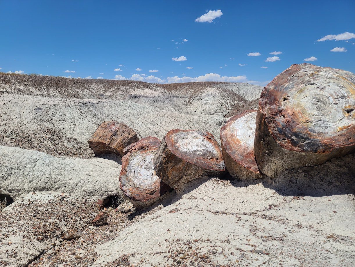 Honeymoon in Arizona in Petrified Forest National Park Least Visited in America
