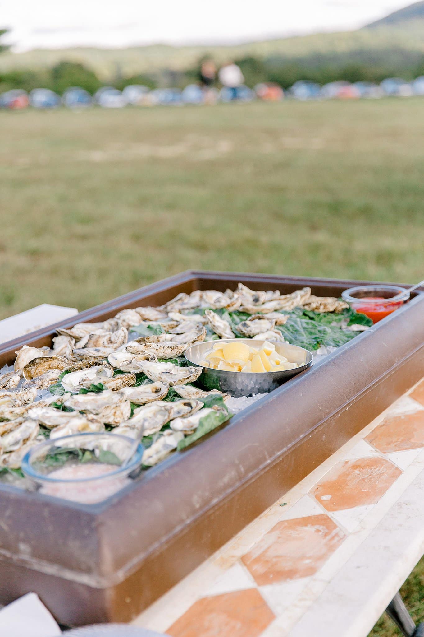 Wedding Oysters
