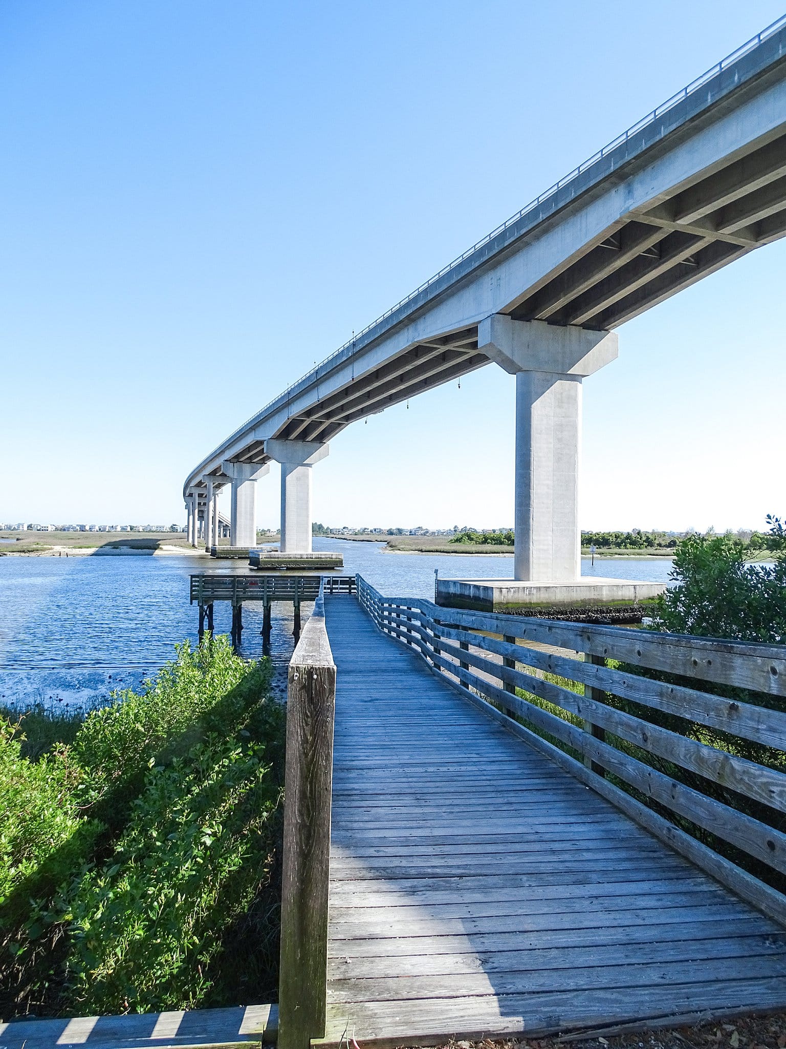 Things to Do in Brunswick Islands NC