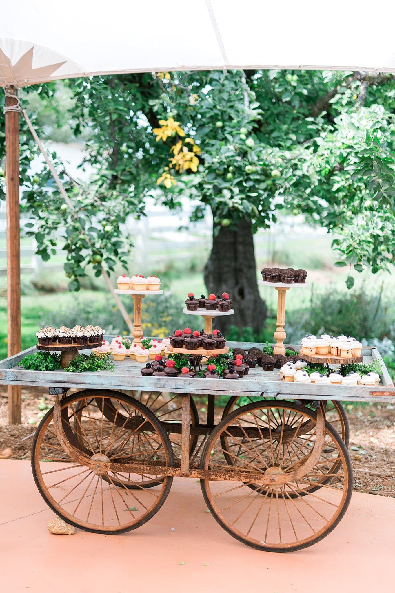 Cupcake Dessert Cart Wedding