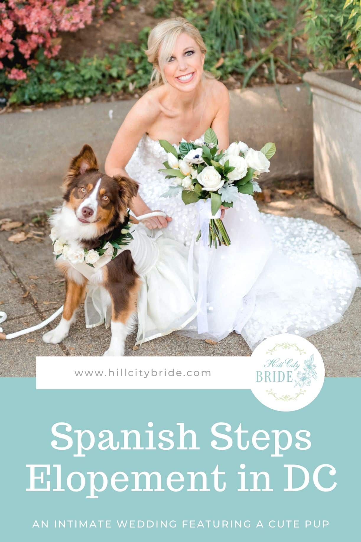 Washington DC Spanish Steps Wedding
