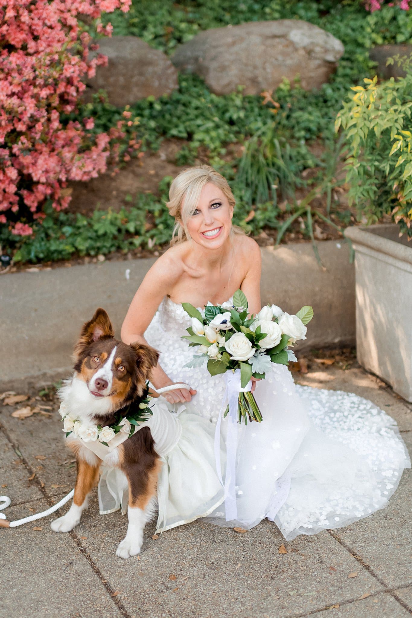 Bride with Dog