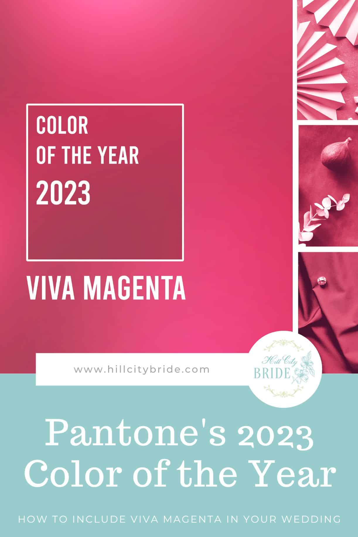 Viva Magenta 2023 Color of the Year