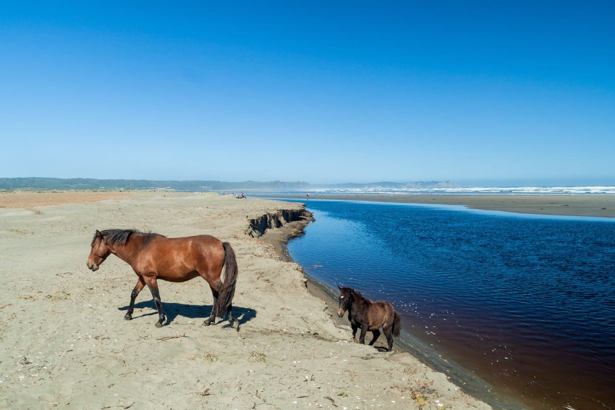 Adventure Vacation in Chile