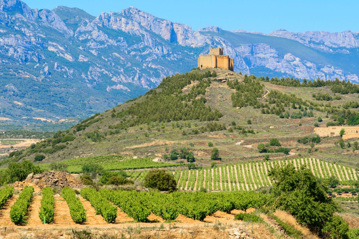 Wine Region Spain Honeymoon Destinations 