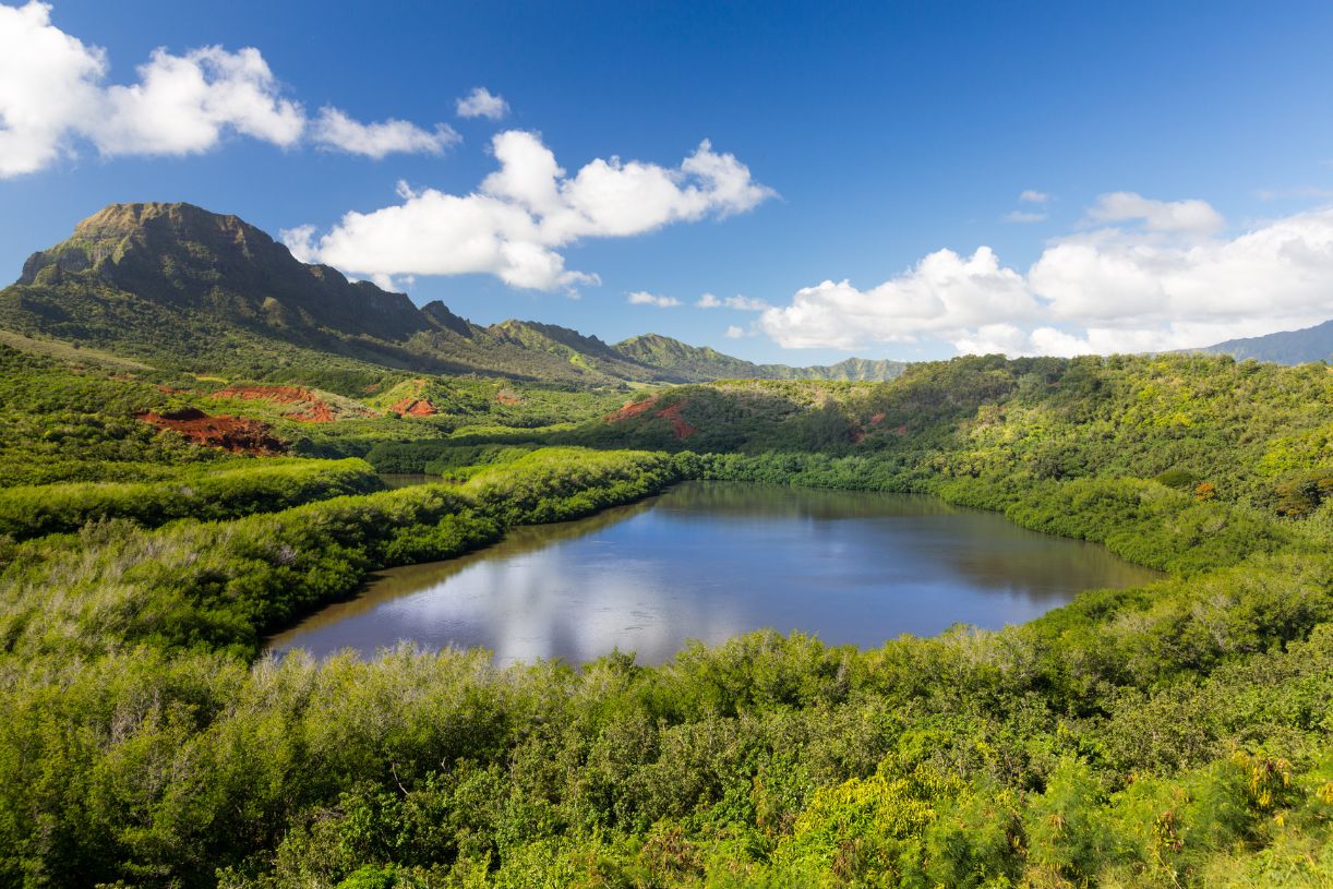 Lihue Hawaii for Honeymooners