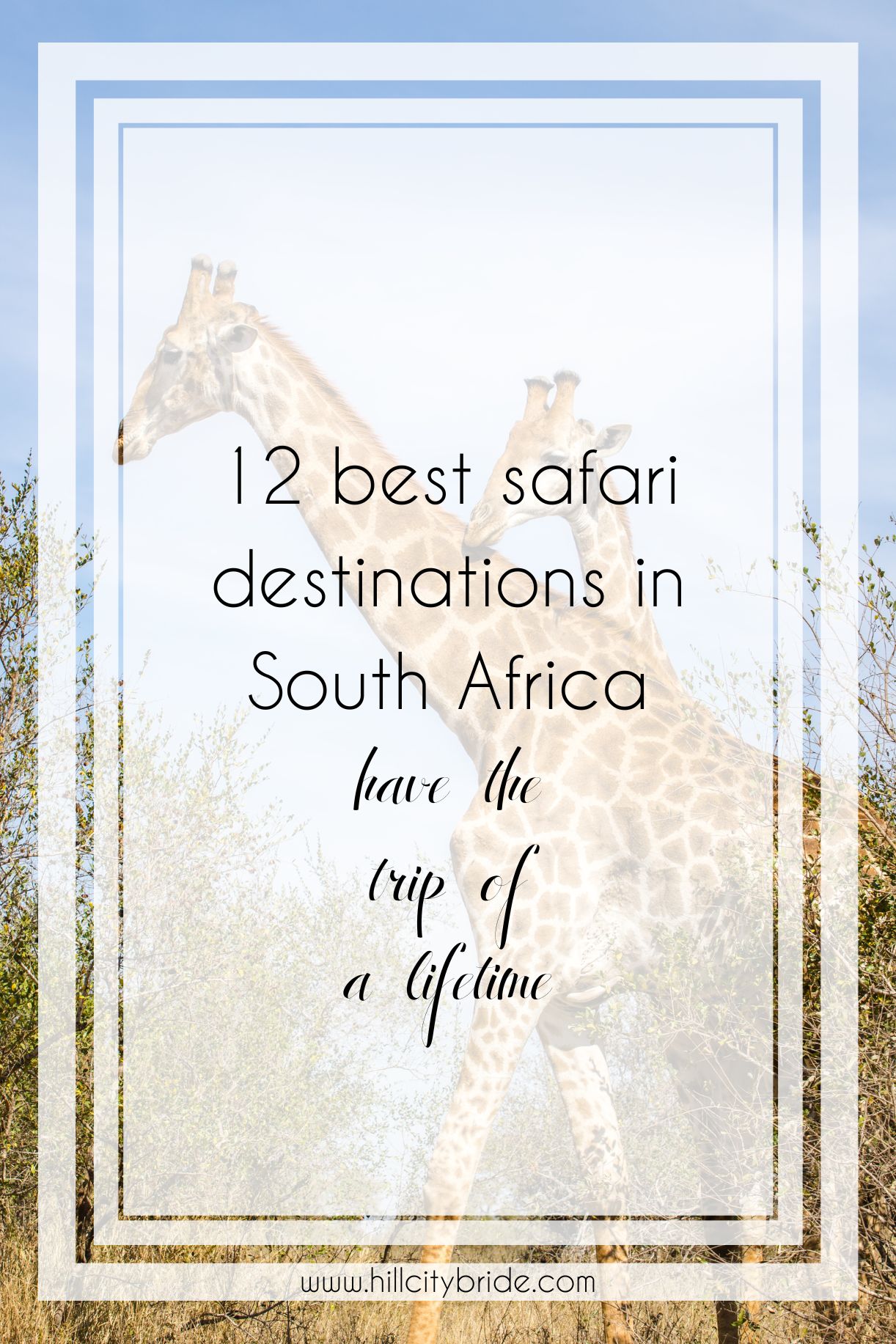 12 of the Best Safari Destinations in South Africa