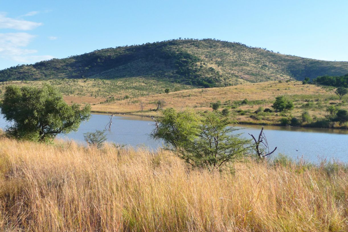 Pilanesberg Game Reserve South African Safari