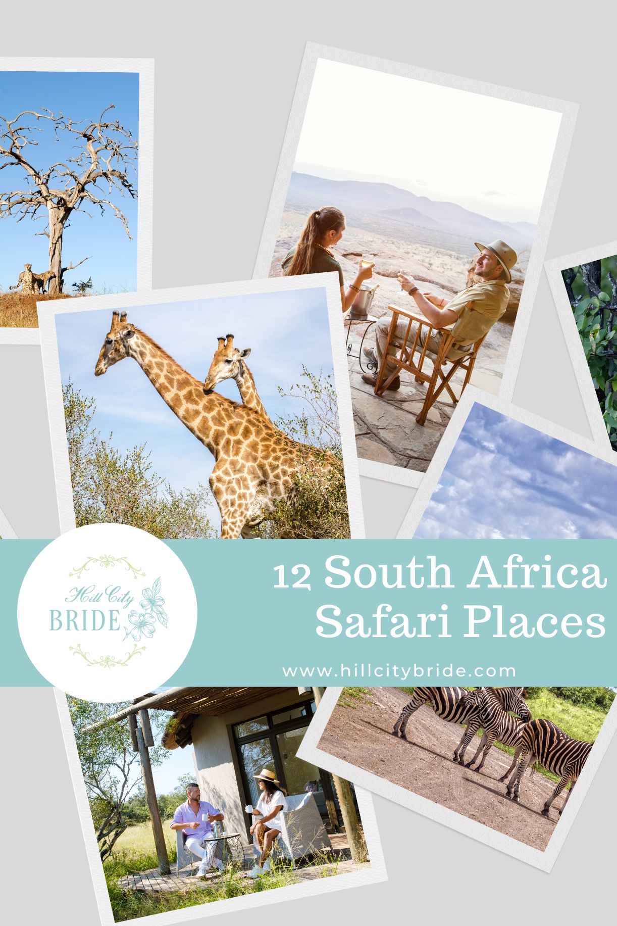 Best Safari Destinations in South Africa