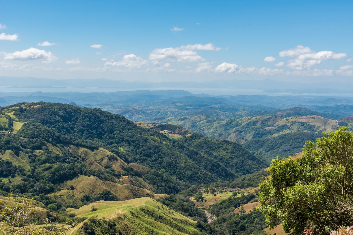 Honeymoon in Monte Verde Costa Rica